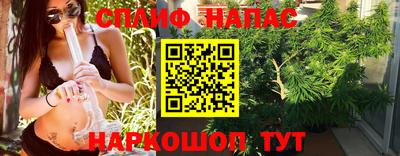 mdpv Можга