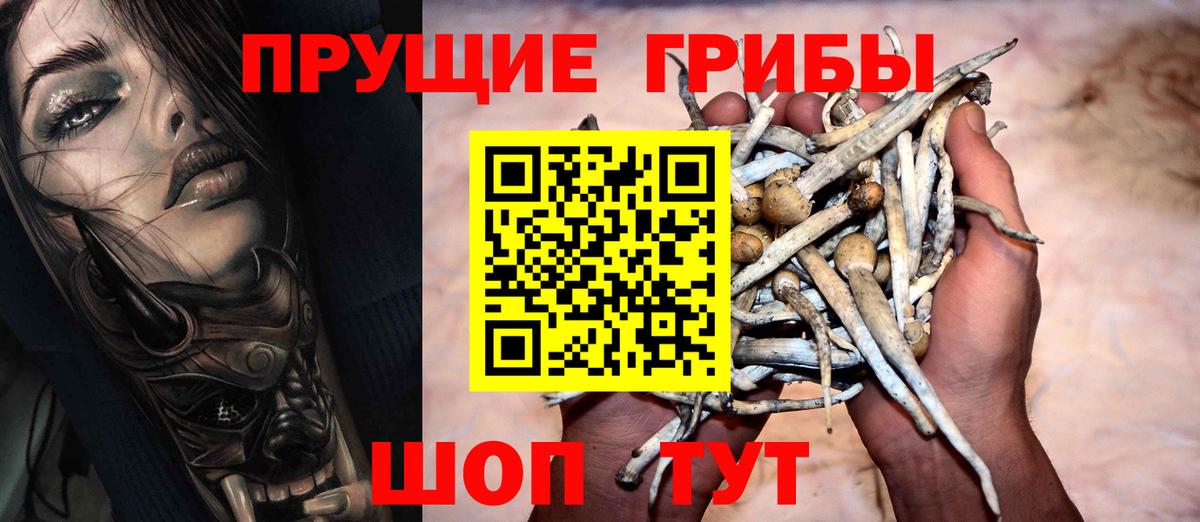 Галлюциногенные грибы Cubensis  Вход с VPN  Тосно 